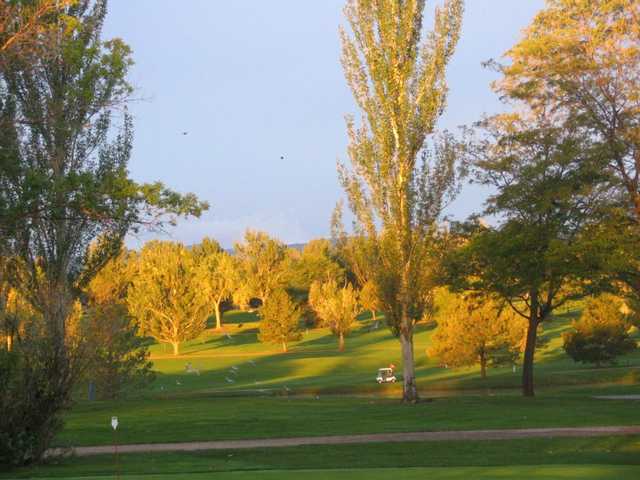 The Olde Course At Loveland - photo 3