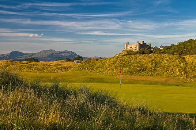 Royal St. David's Golf Club - photo 5
