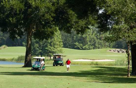 Royal Oaks - photo 4