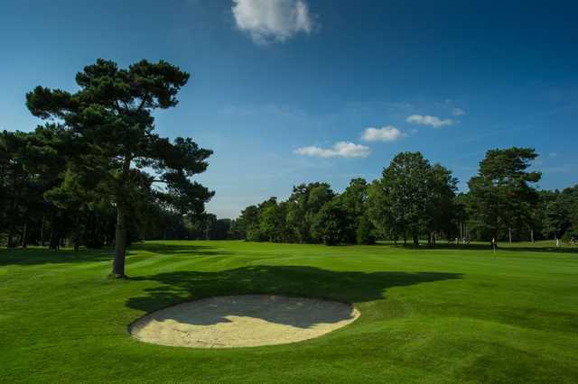 Pine Ridge Golf Club - photo 3