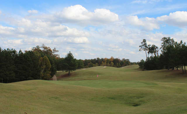 Mallard Pointe Golf Course - photo 3