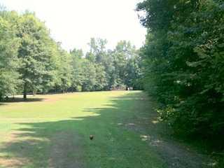 Hickory Creek Golf Course - photo 1