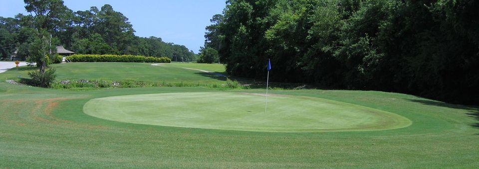 Olde Point Country Club - photo 7