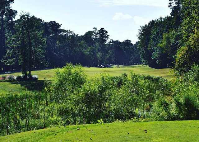 Wachesaw Plantation East Golf Course - photo 2