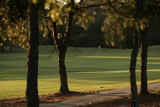 Windermere Country Club - photo 6