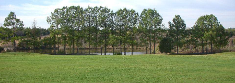 Charles T. Myers Golf Course - photo 5