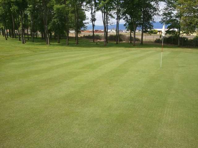 VA Domicilliary Golf Course - photo 3