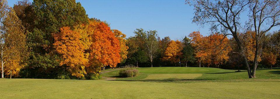 L.A. Nickell Golf Course - photo 8