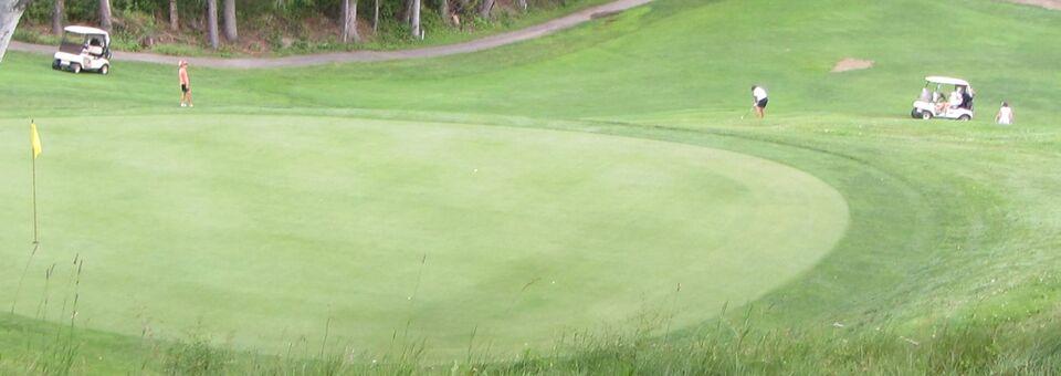 Oneonta Country Club Inc - photo 4