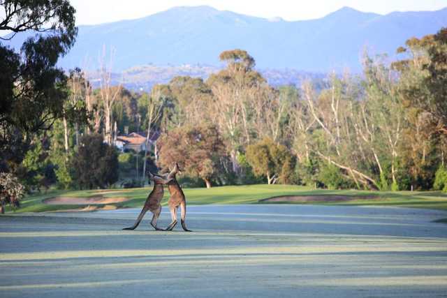Federal Golf Club - photo 3