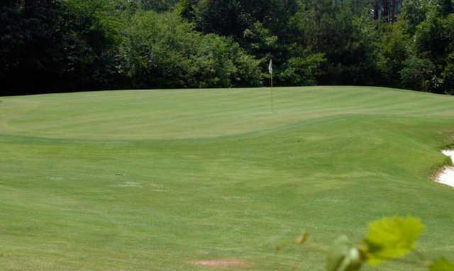 Mountain View Golf Course - photo 2