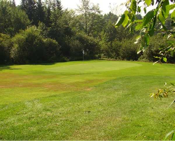 Country Fareways Par 3 - photo 2