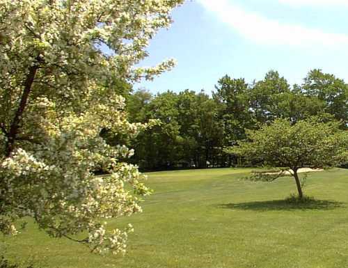 Avon Dale Golf Club