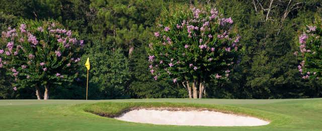 Country Club of Orangeburg - photo 2