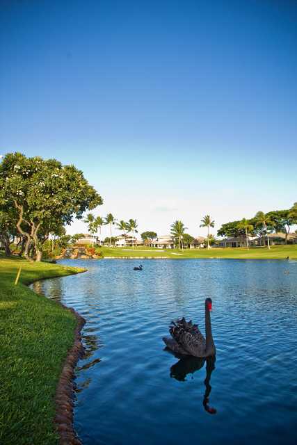 Ko Olina