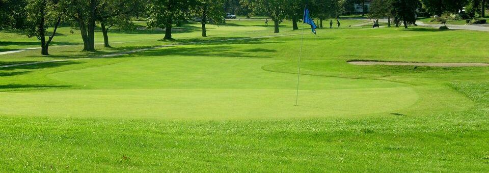 Lincoln Oaks Golf Course - photo 5