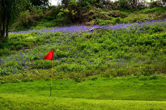Grove Golf Centre - photo 6