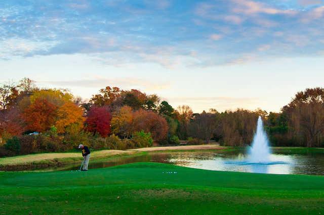 Starmount Forest Country Club - photo 3