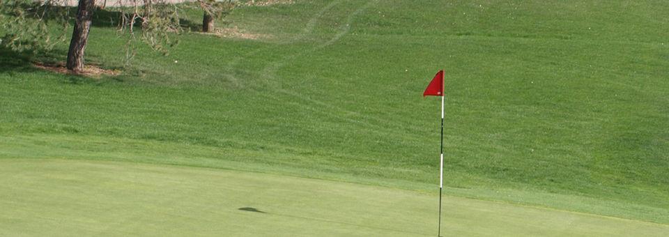 Eldorado Hills Golf Course - photo 4