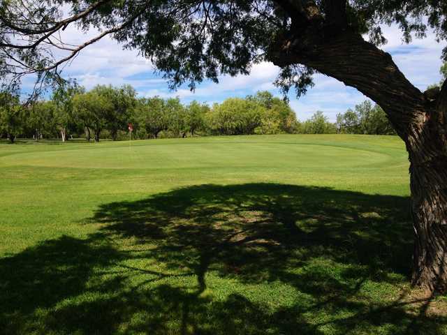 John C. Beasley Municipal Golf - photo 1