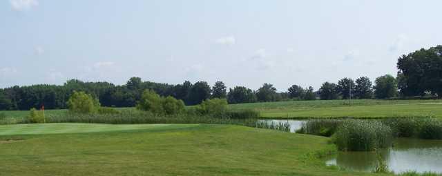 Moweaqua Golf Course - photo 3