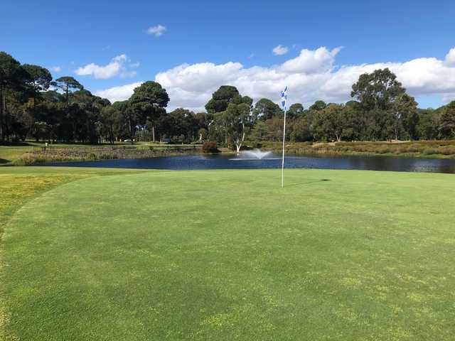 Collier Park Golf Club - photo 5