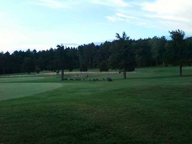 Little Harbor Golf Course - photo 2