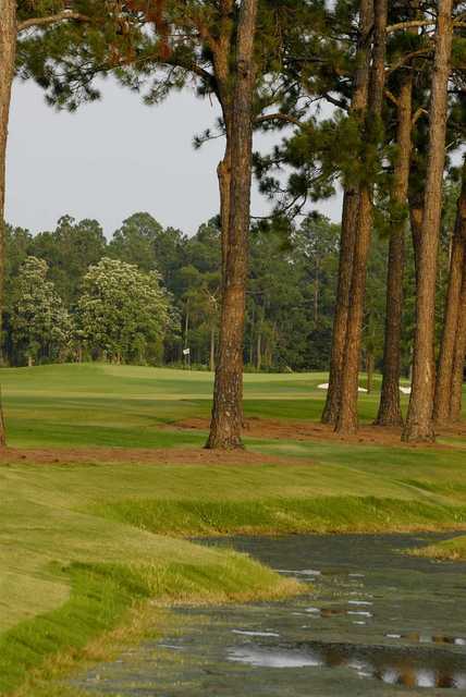 Gulf Shores Golf Club - photo 5
