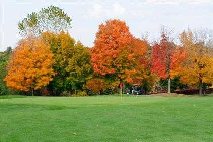 Valleywood Golf Course - photo 5