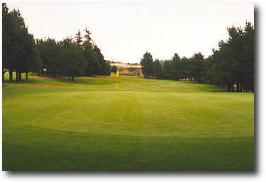 Manzanita Golf Course - photo 6