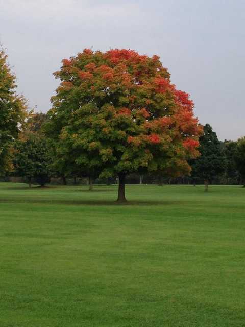 Cherrywood - photo 6