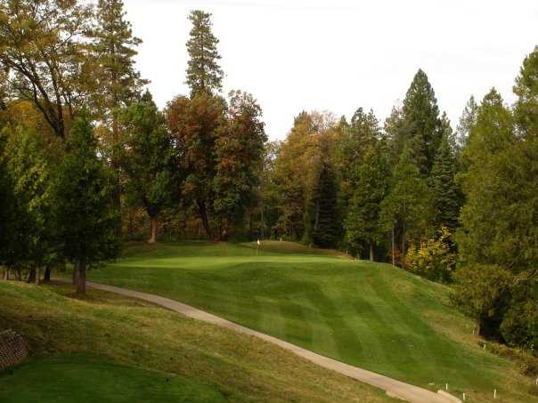 Apple Mountain Golf Resort - photo 6