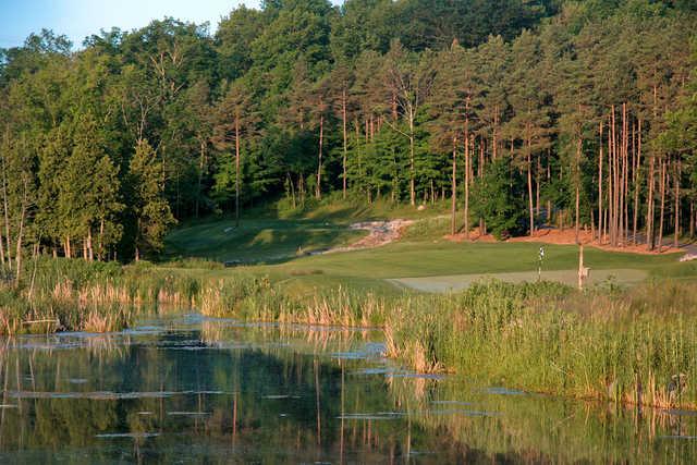 Black Bear Ridge Golf Course - Magee Championship - photo 2