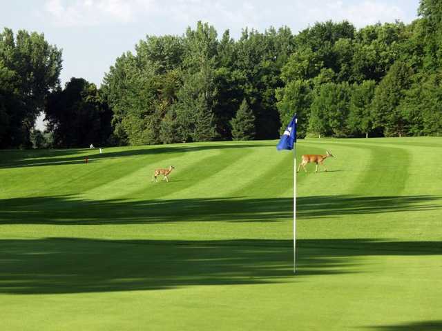 Chomonix Golf Course - photo 5