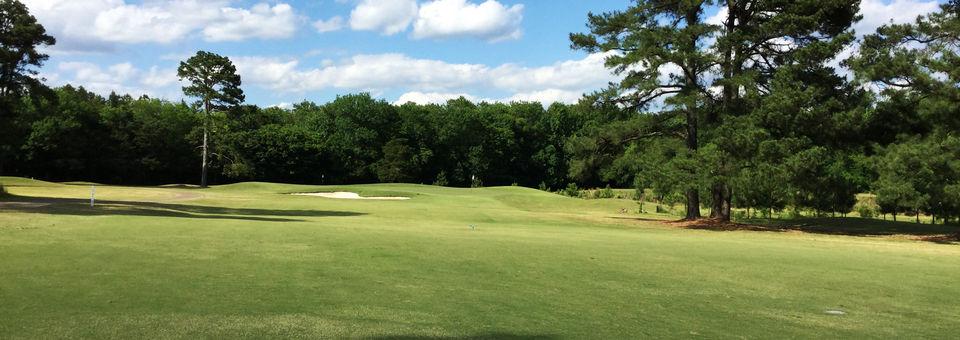 Mississippi State Univ. Golf Course - photo 4