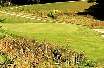 Lakes of the Four Seasons Country Club - photo 1