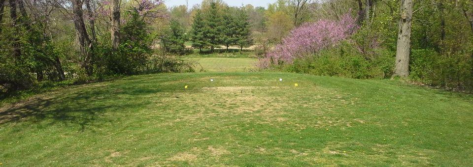 New Albany Golf Course - photo 3