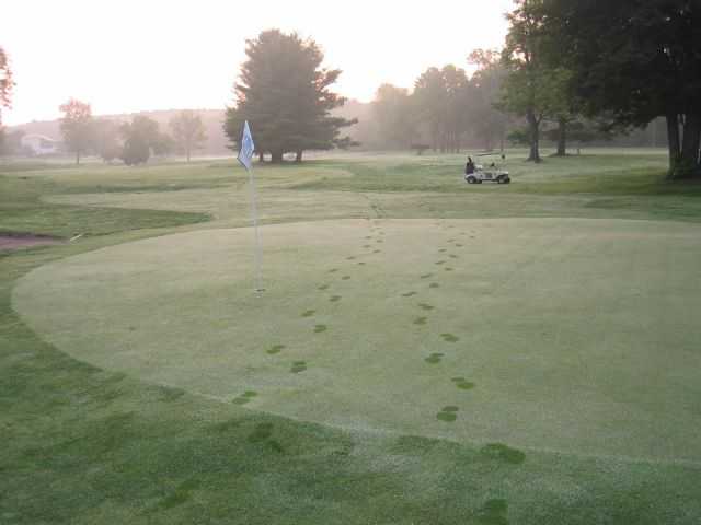 Sweet Water Golf Course - photo 2