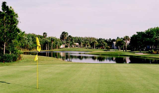 Westchase Golf Club - photo 7