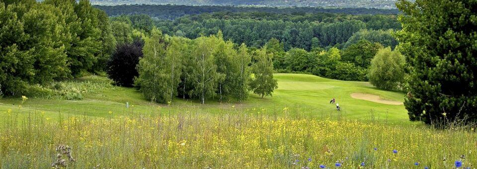 Golf Hôtel de Mont Griffon - La Foret - photo 3