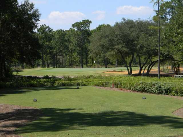 Raleigh Country Club - photo 4