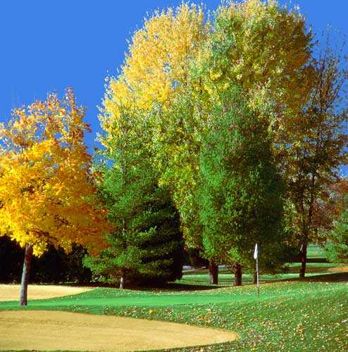 Mequon Country Club - photo 3