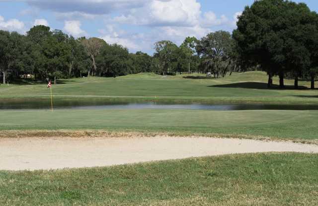 Citrus Hills Golf Club - photo 3