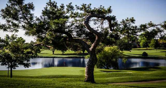 The Greens Country Club - photo 3