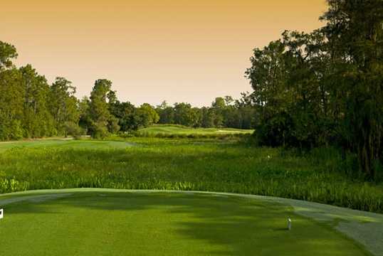 Quail West Golf and Country Club - photo 2