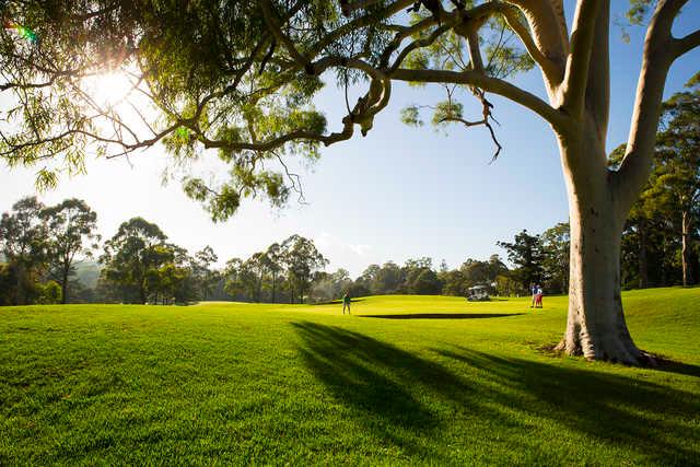 Castle Hill Country Club - photo 2