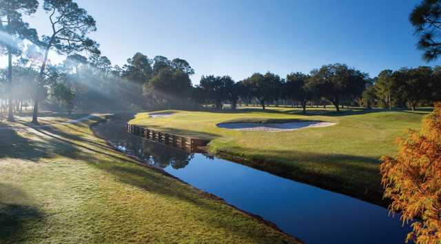 Rio Pinar Golf Club - photo 7