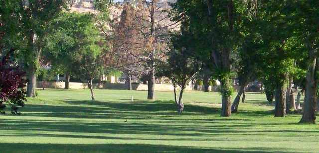 Hesperia Golf and Country Club - photo 4