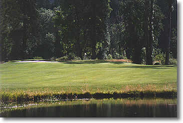 Tokatee Golf Club - photo 5
