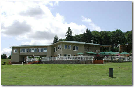 Diamond Woods - photo 6